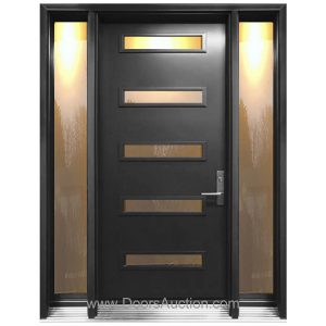 Modern Single door with two sidelites